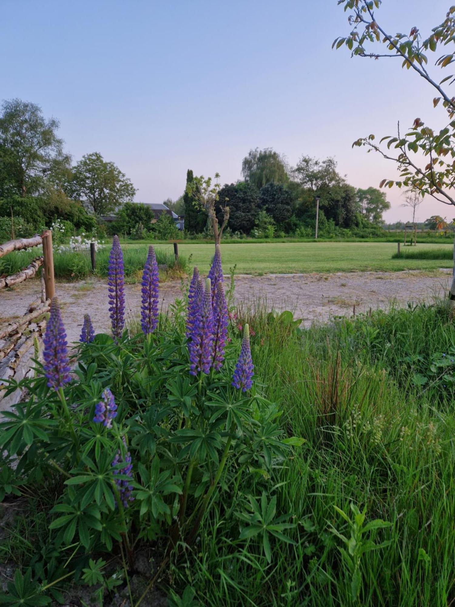 De Wilde Tuin - Tuinkamer Moergestel Exteriér fotografie